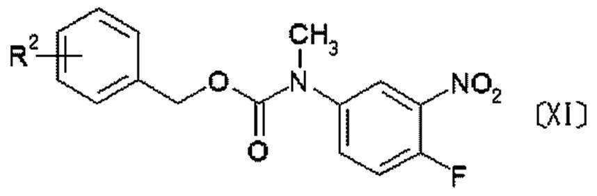 Figure JPOXMLDOC01-appb-C000014