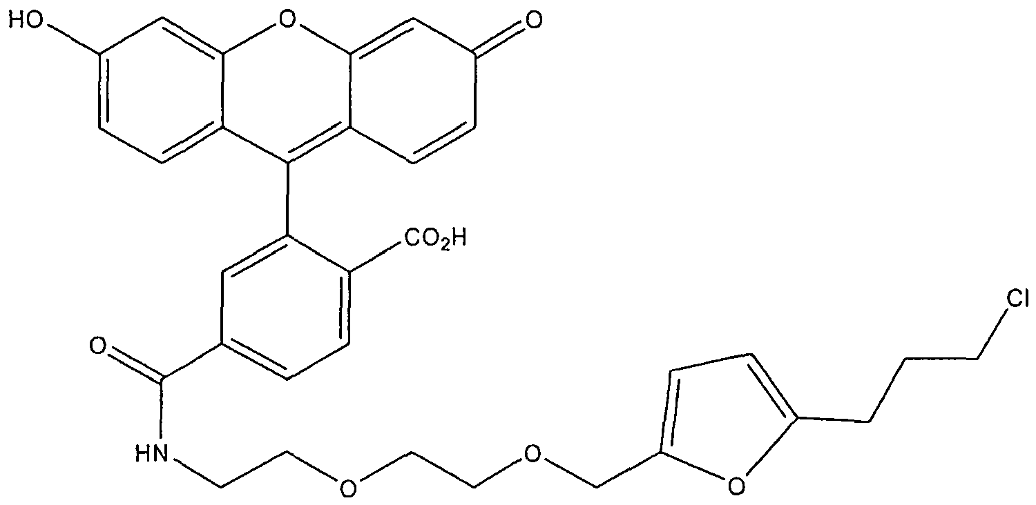 Figure imgb0032