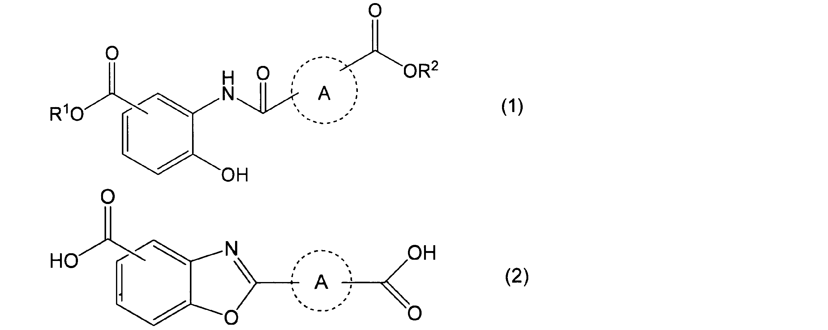 Figure JPOXMLDOC01-appb-C000003