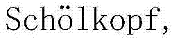 Figure BDA0000403772010000031