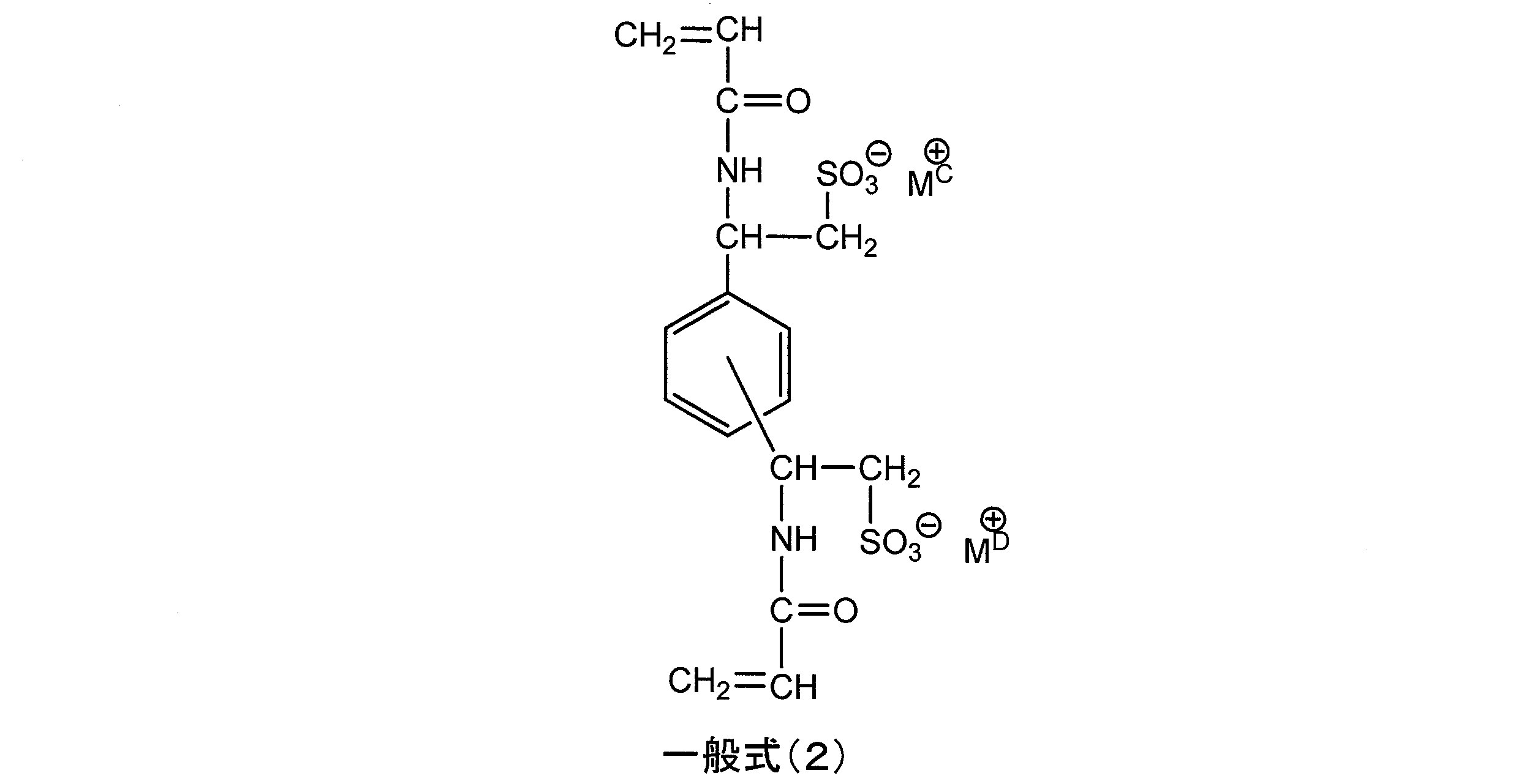 Figure JPOXMLDOC01-appb-C000009