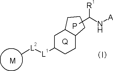 Figure JPOXMLDOC01-appb-C000023