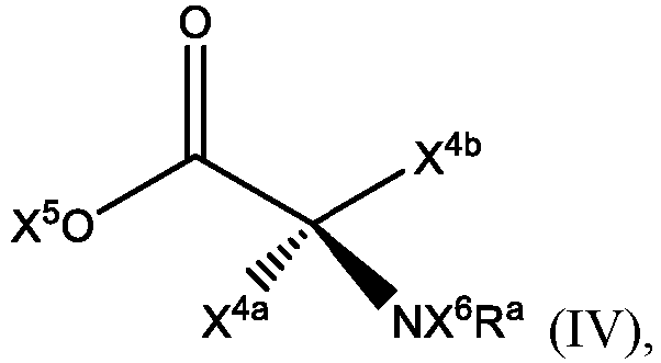 Figure imgb0019
