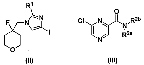 Figure JPOXMLDOC01-appb-C000003