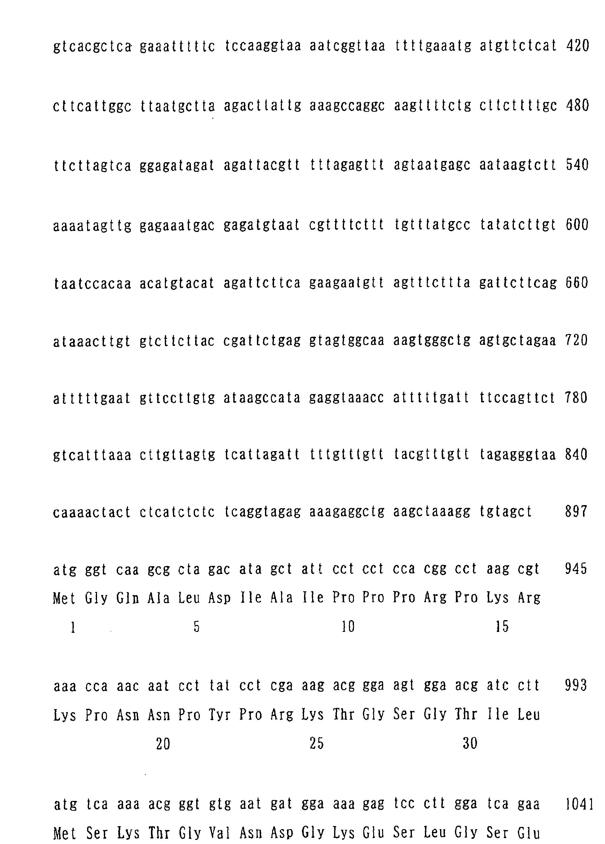 Figure 02460001