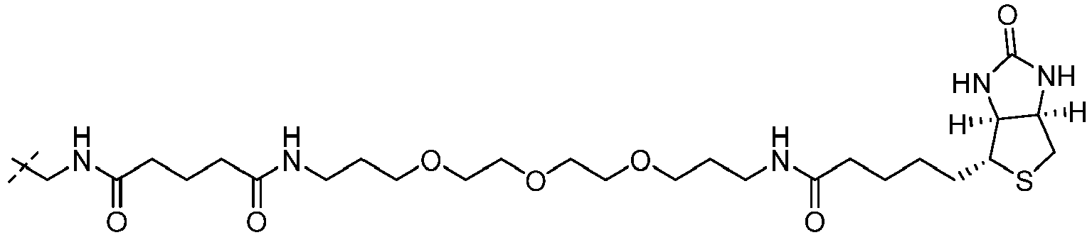 Figure imgb0014