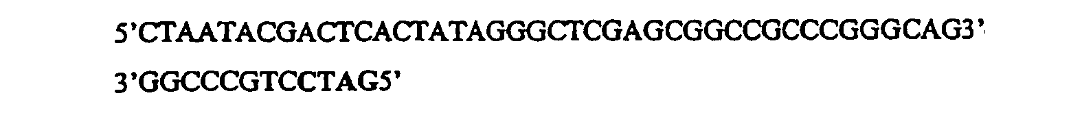Figure imgb0001