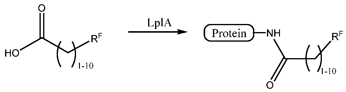 Figure imgf000120_0003