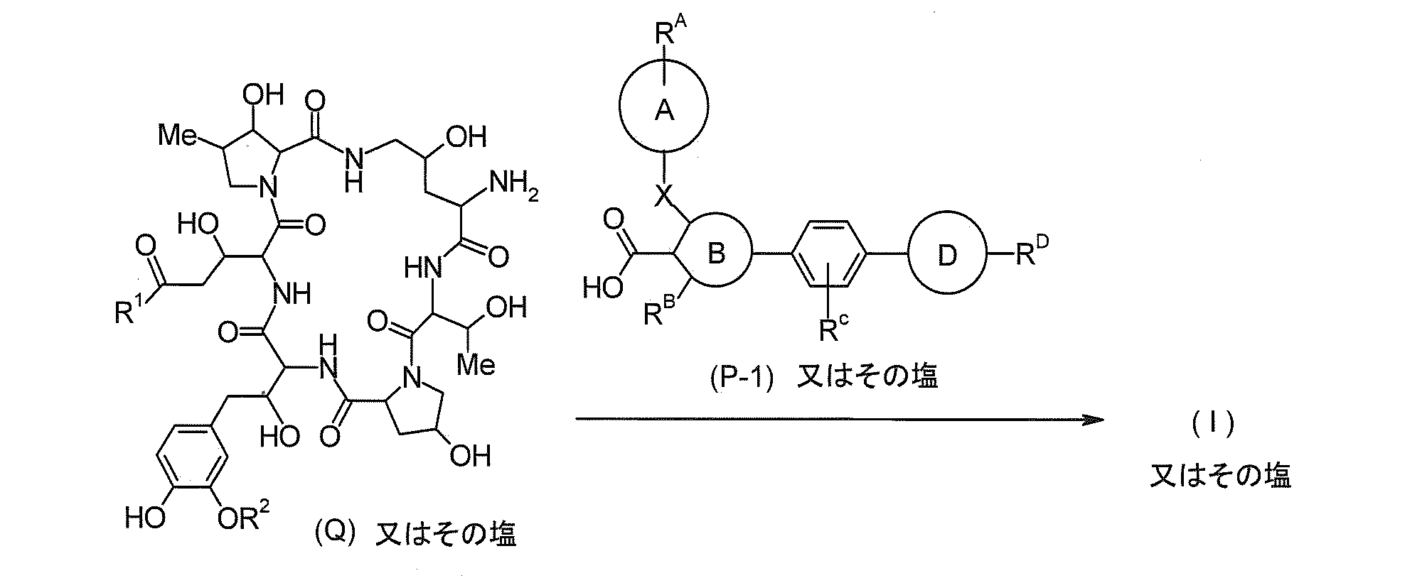Figure JPOXMLDOC01-appb-C000009