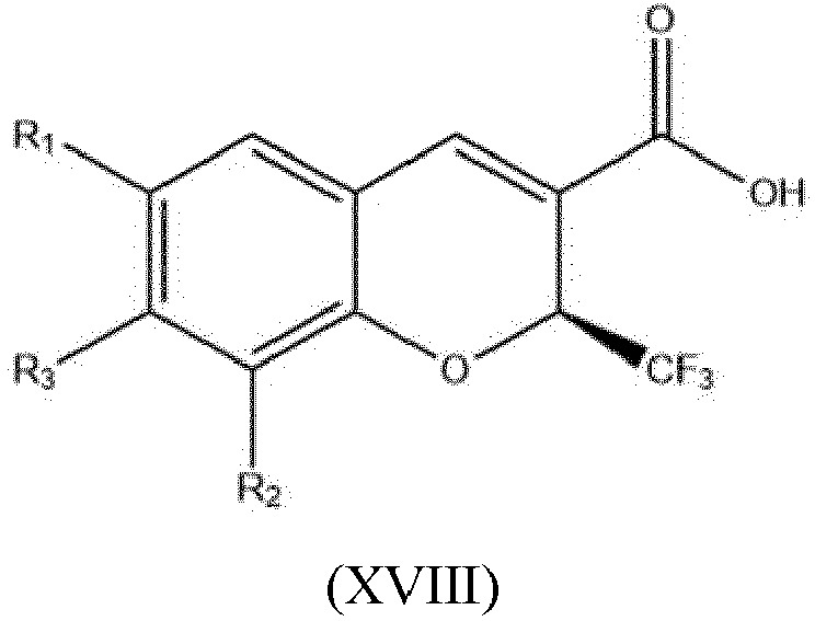 Figure imgb0024