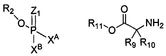 Figure imgf000053_0002