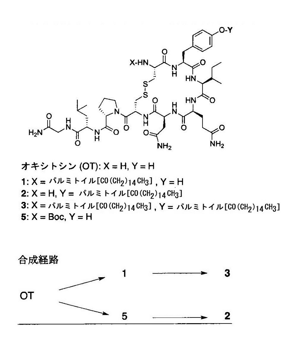 Figure JPOXMLDOC01-appb-C000007
