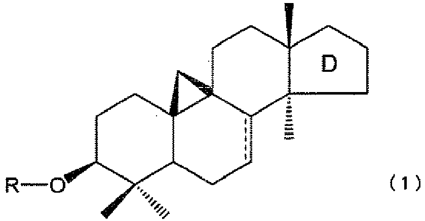 Figure imgb0004