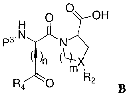 Figure imgf000091_0003
