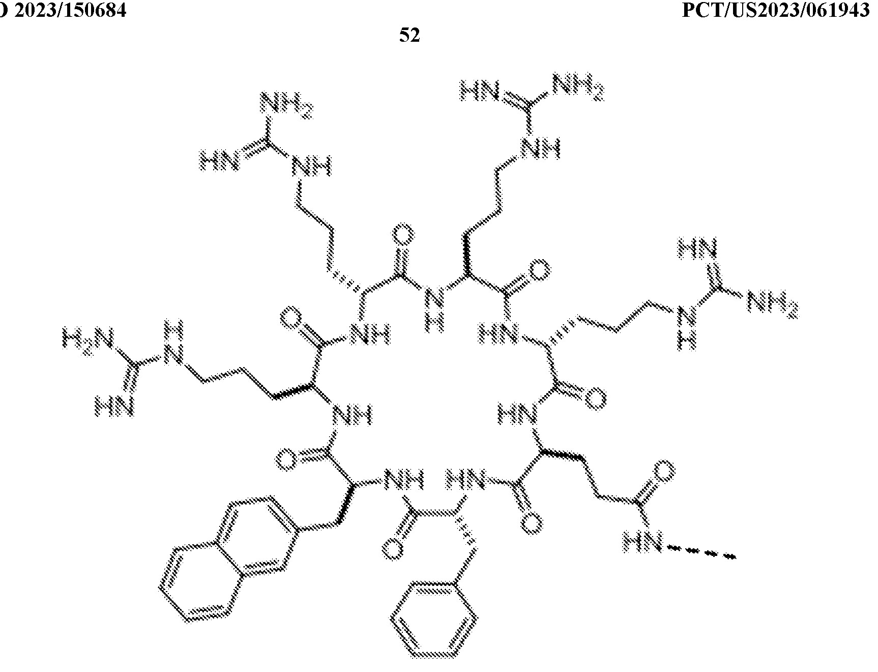 Figure imgf000053_0001