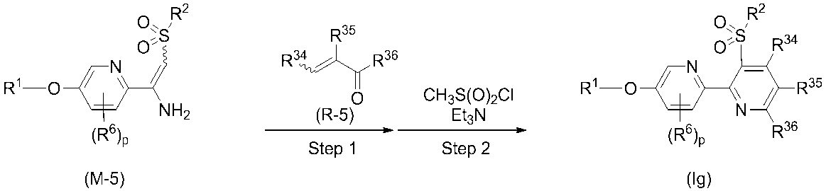 Figure JPOXMLDOC01-appb-C000016