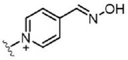 Figure JPOXMLDOC01-appb-C000056