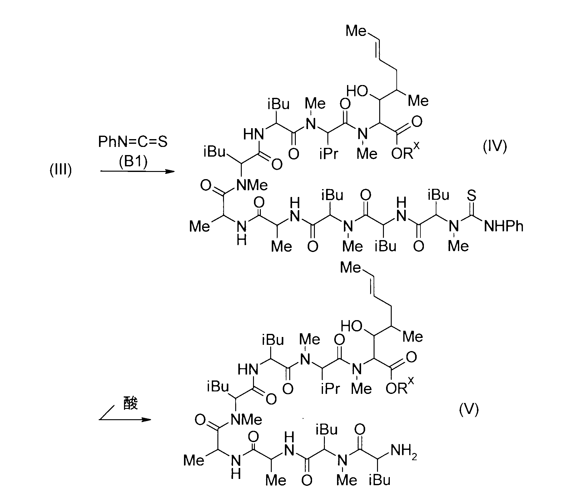 Figure JPOXMLDOC01-appb-C000033