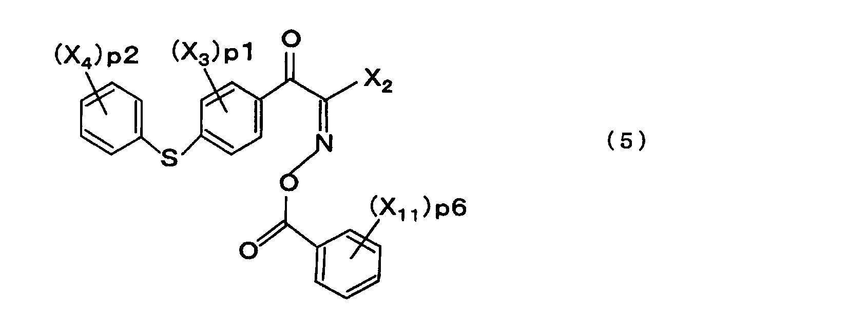 Figure JPOXMLDOC01-appb-C000013