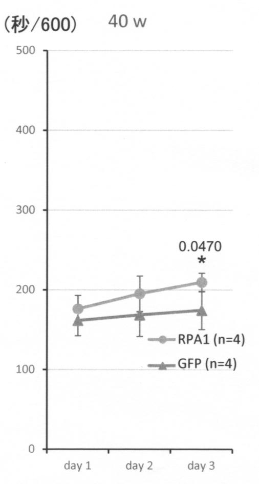 google patents