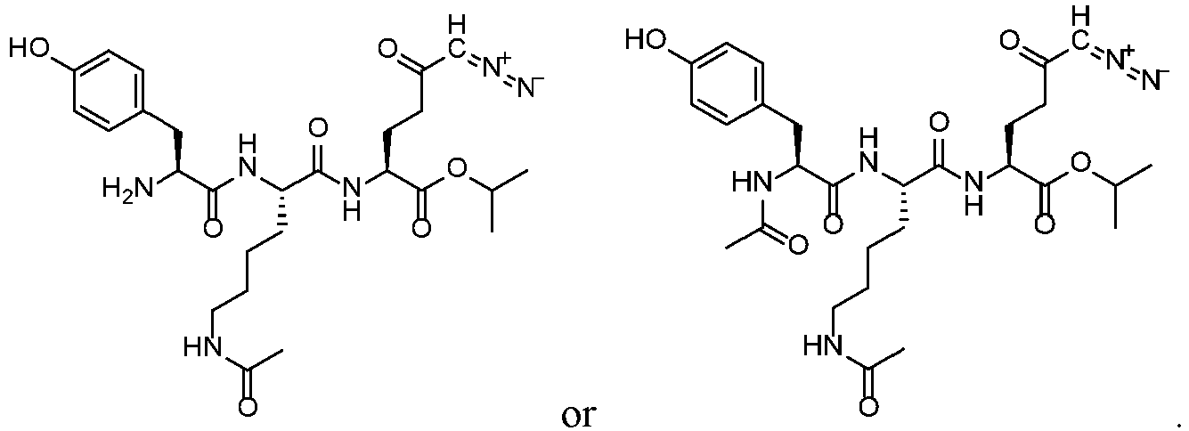 Figure imgb0045