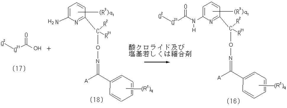 Figure JPOXMLDOC01-appb-C000014