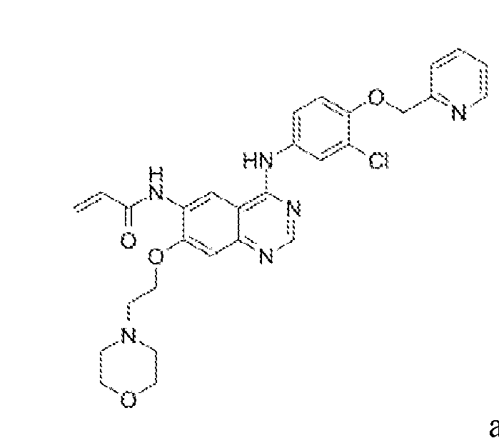 Figure imgf000053_0001