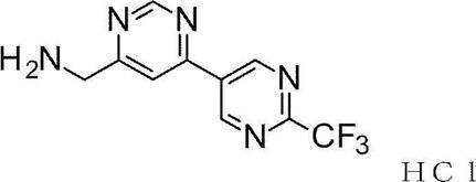 Figure JPOXMLDOC01-appb-C000315