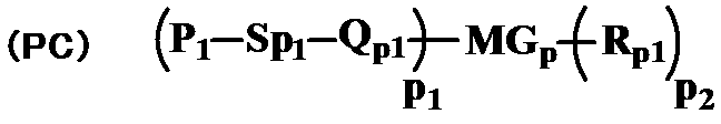 Figure JPOXMLDOC01-appb-C000029