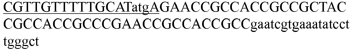Figure imgb0024