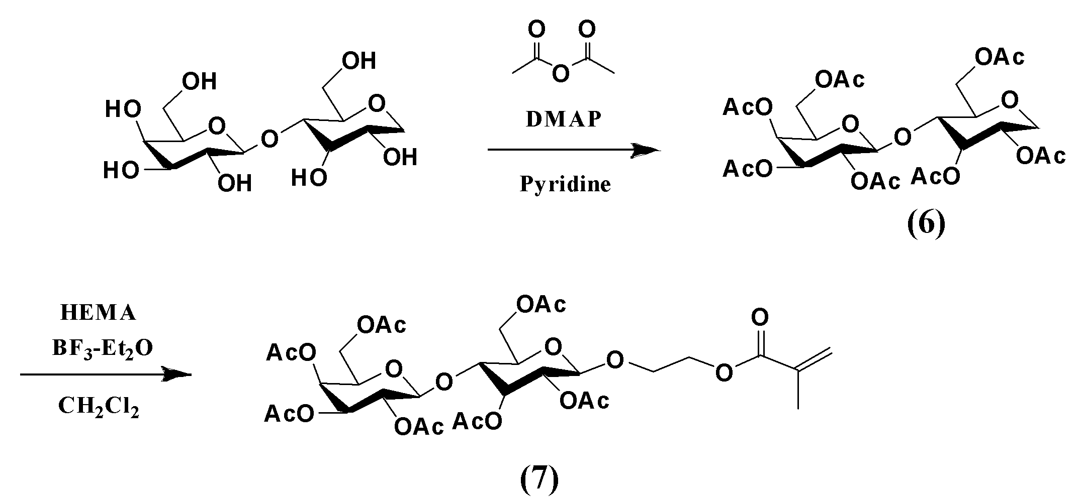Figure JPOXMLDOC01-appb-C000008