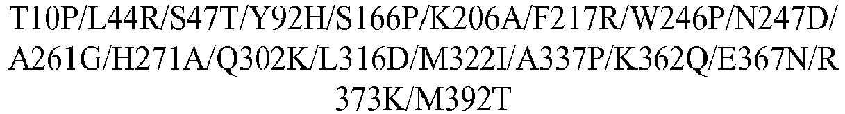 Figure imgb0850