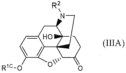 Figure JPOXMLDOC01-appb-C000025