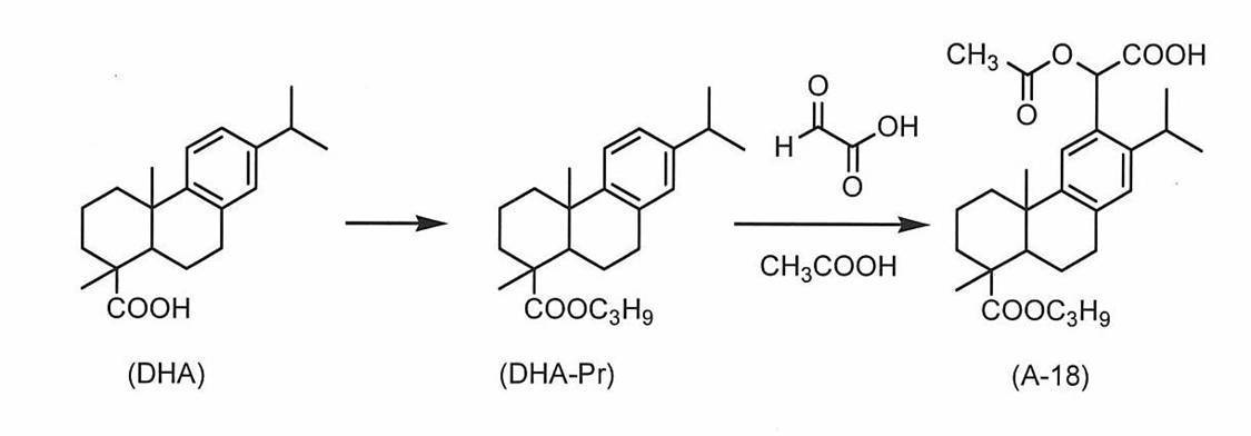 Figure JPOXMLDOC01-appb-C000023