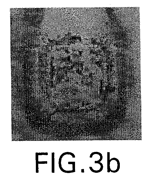 Figure 00000004