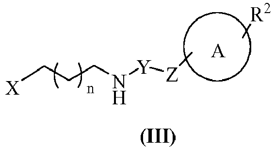 Figure imgb0157