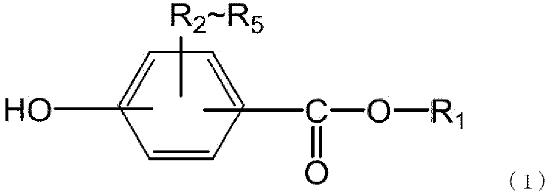 Figure imgb0004