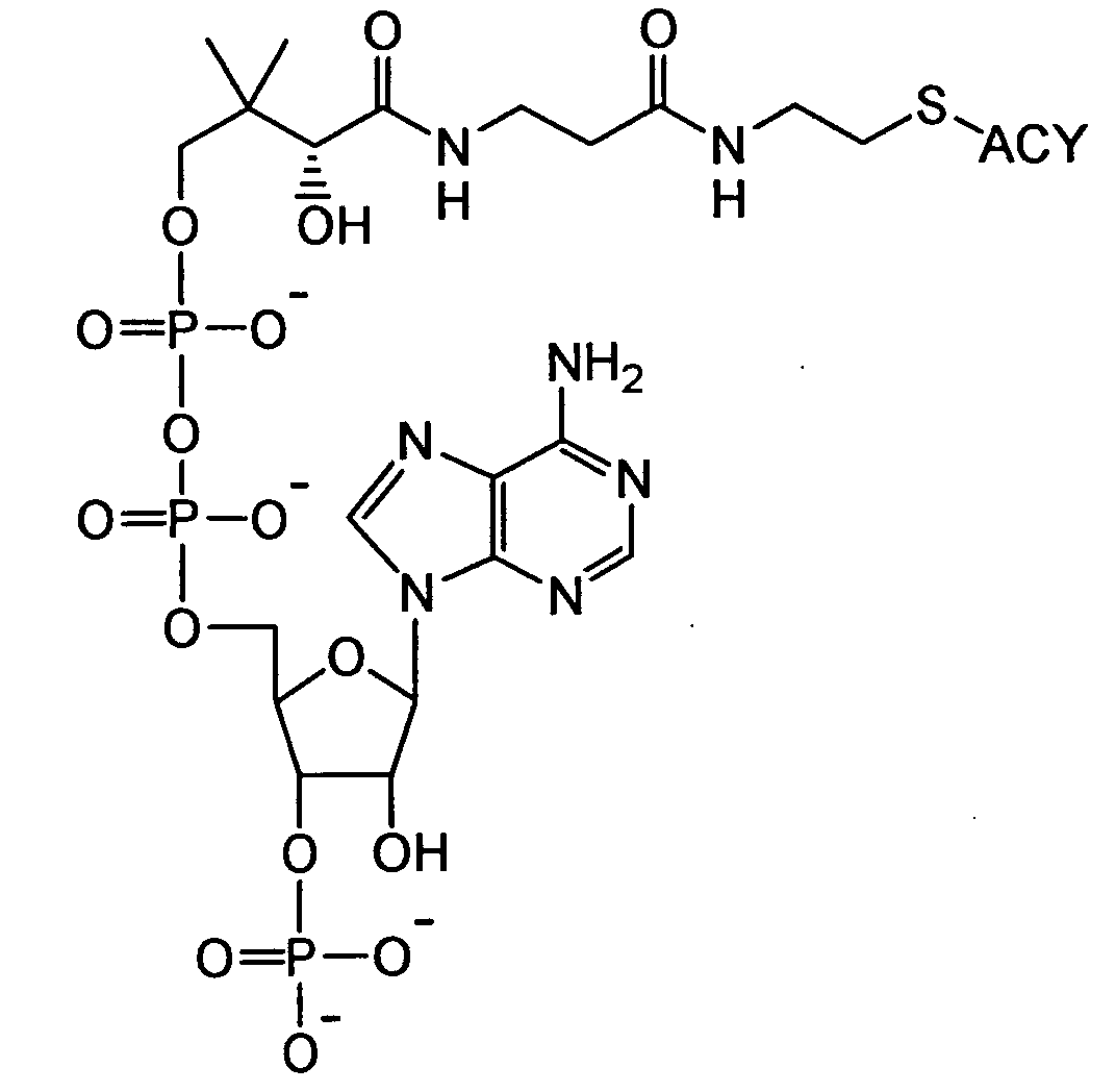 Figure 00020001