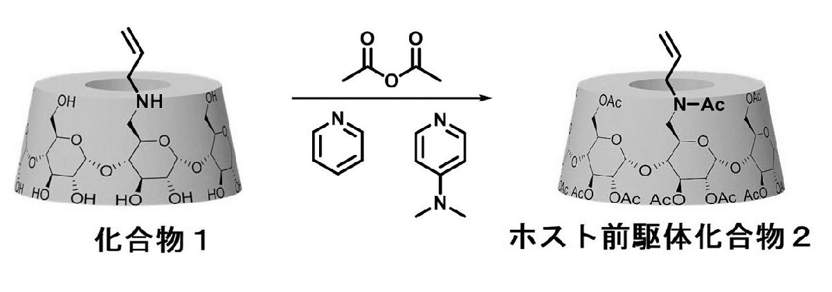 Figure JPOXMLDOC01-appb-C000014
