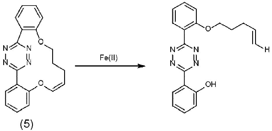 Figure imgb0013