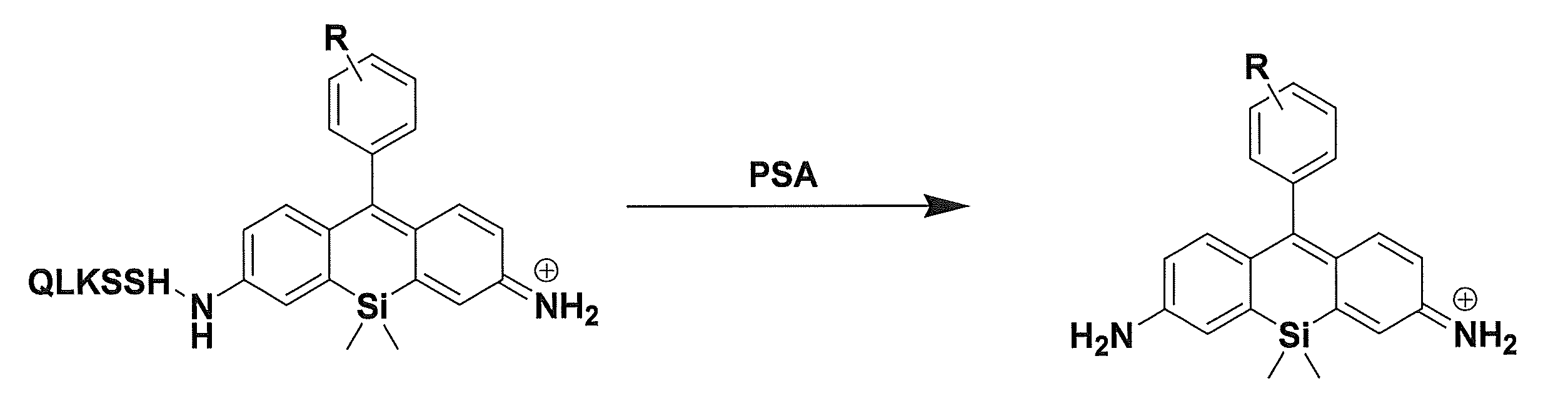 Figure JPOXMLDOC01-appb-C000018