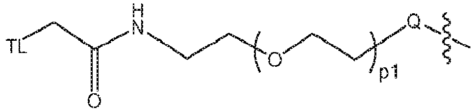 Figure imgb0110