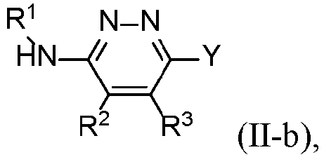 Figure imgb0010