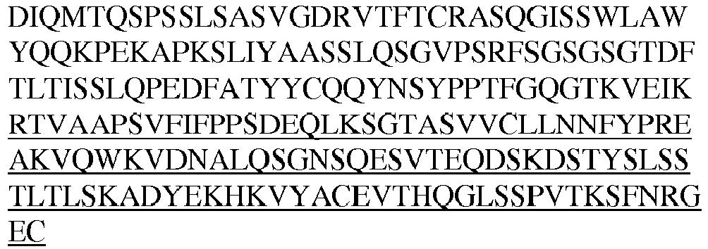 Figure imgb0042