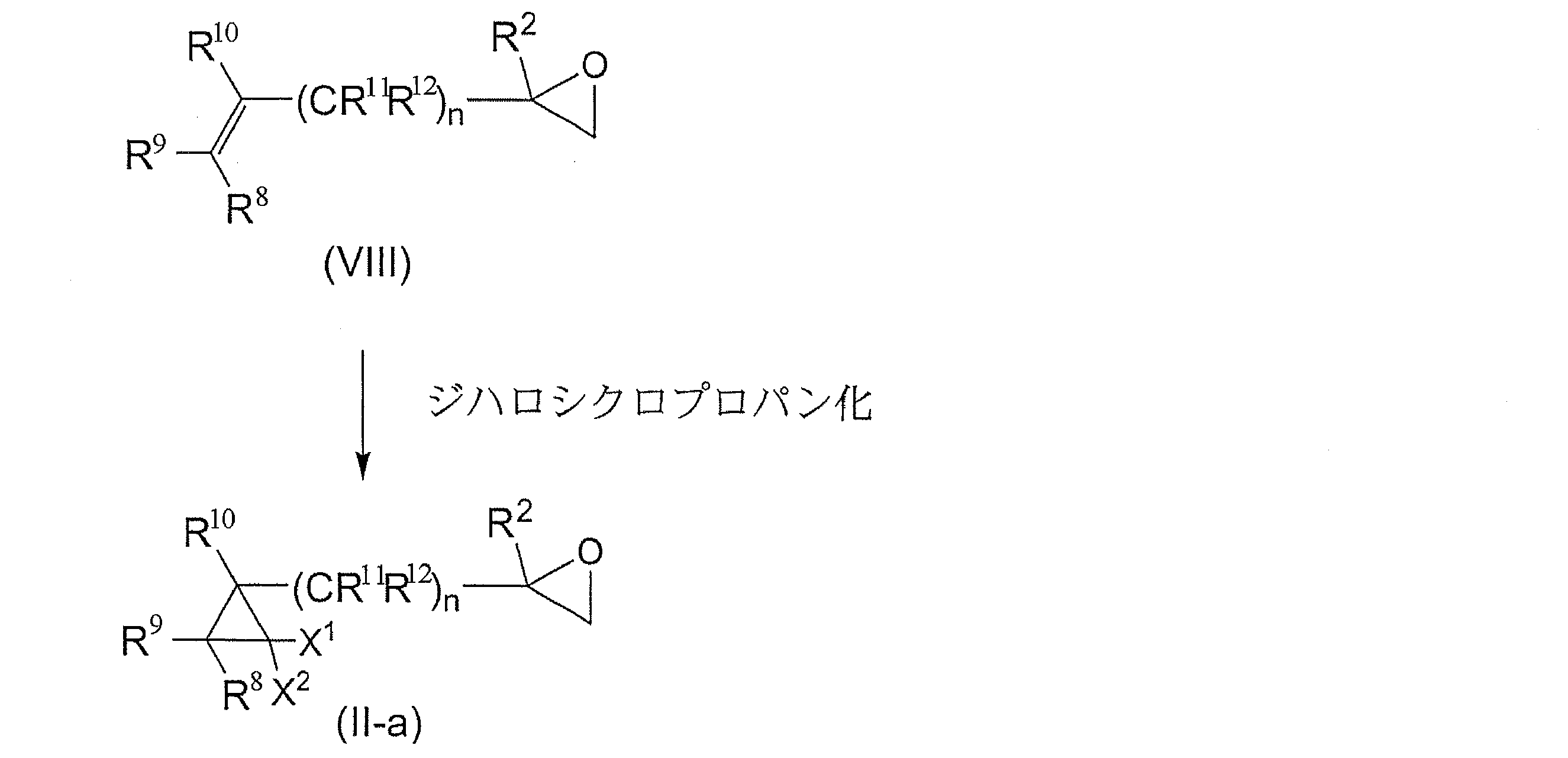 Figure JPOXMLDOC01-appb-C000013