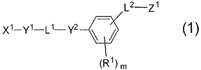 Figure imgb0001