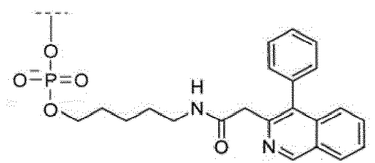Figure imgb0169
