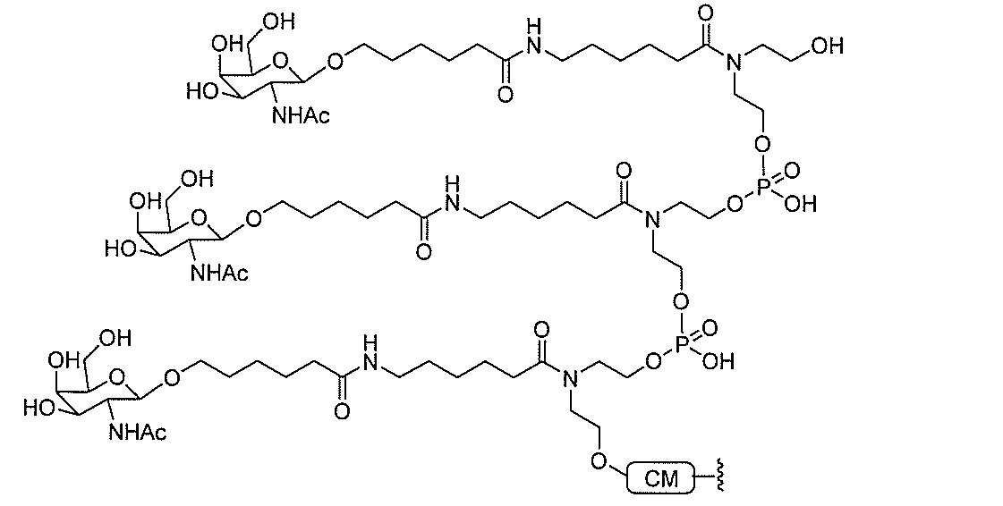 Figure 2022017514000376