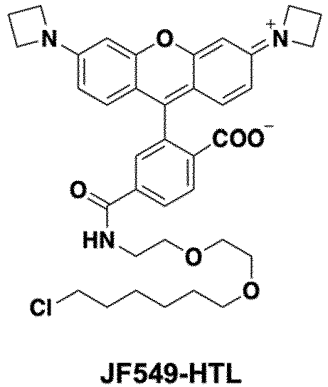 Figure imgb0161