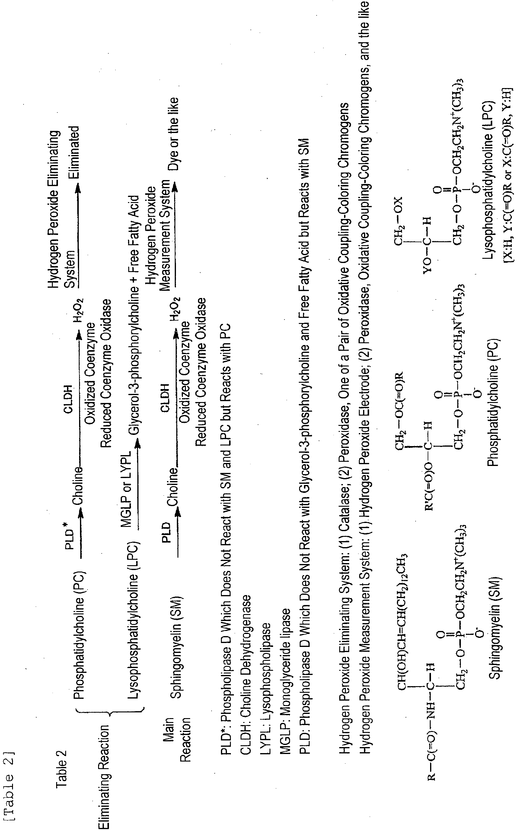 Figure imgb0002
